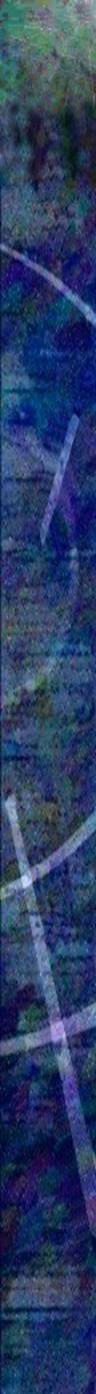 banner 03
